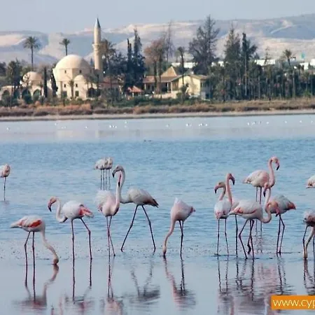 Apartment Mackenzie By The Sea Ground Floor Larnaca