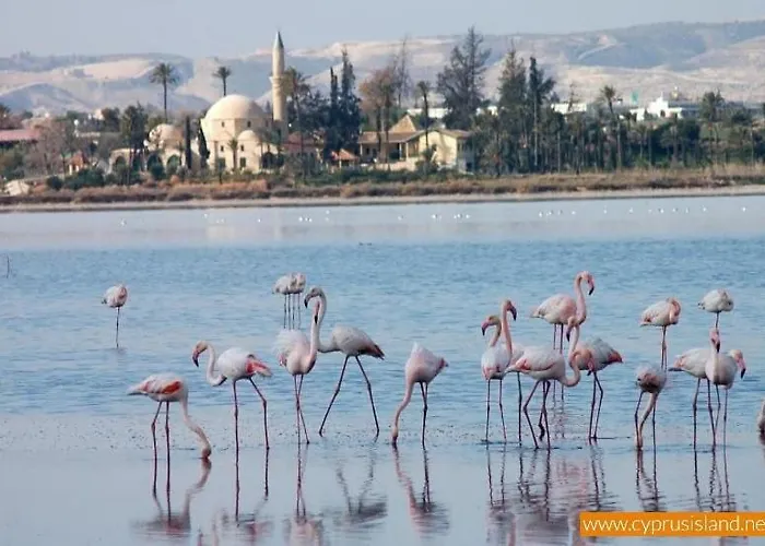 Apartmán Mackenzie By The Sea One Bed Ground Floor Larnaca