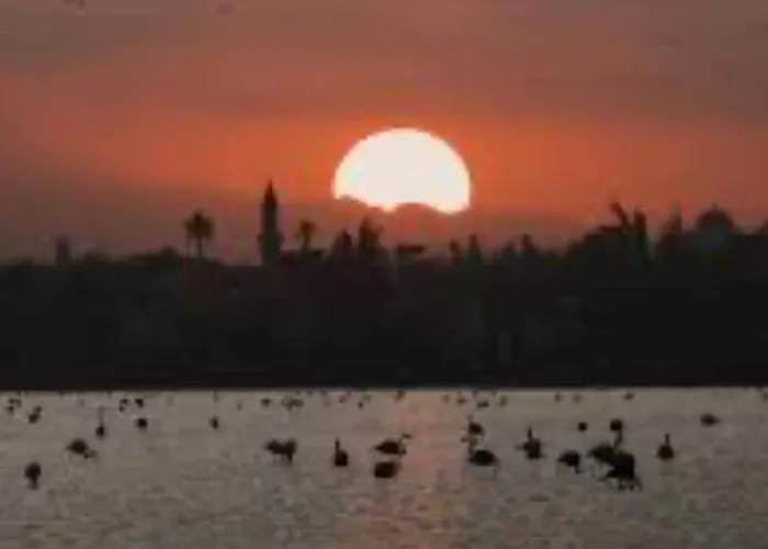 Apartmán Mackenzie By The Sea One Bed Ground Floor