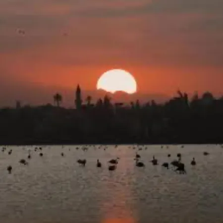 Apartment Mackenzie By The Sea One Bed Ground Floor